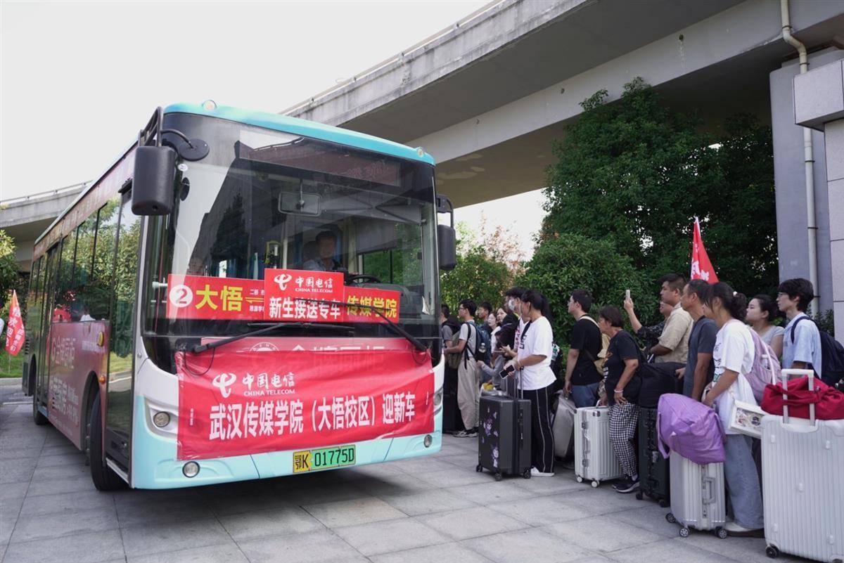 下载金彩网平台